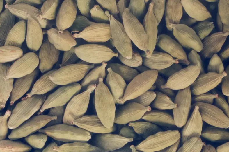 Kerala cardamom farmers hit as prices fall; look forward to north Indian festive season