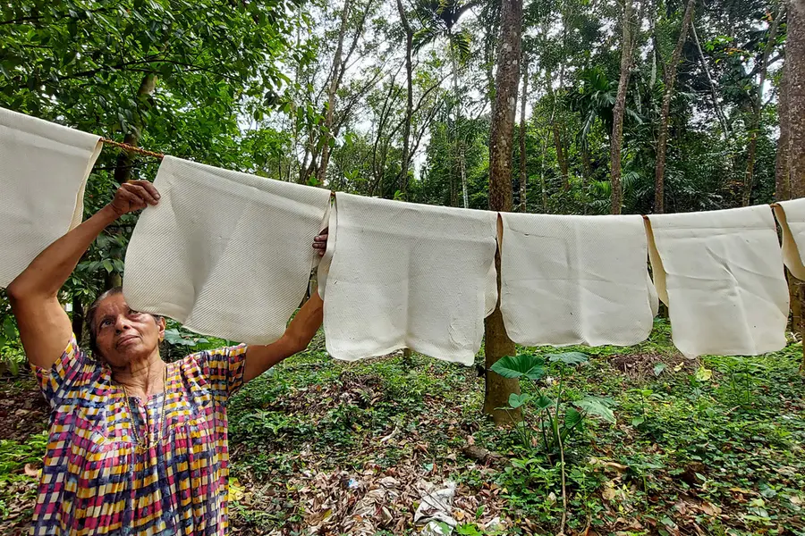 Relief for Kerala rubber farmers as price hits this year’s high