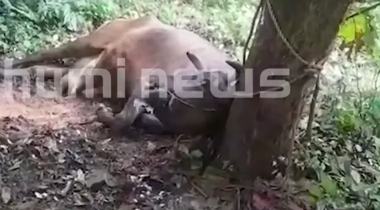Photo: Screengrab/ Mathrubhumi News