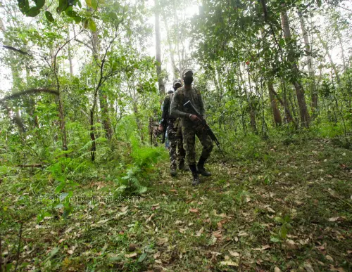 Photo: Sreejith P Raj