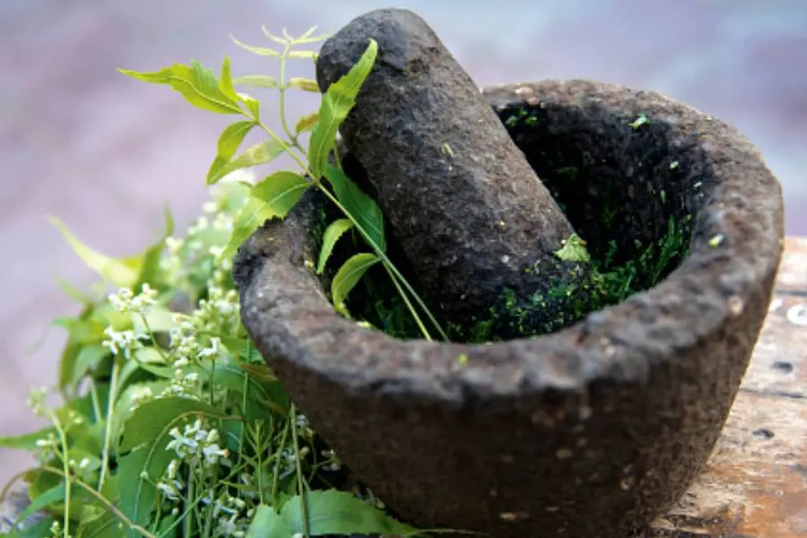 Unused plots in govt offices to be used for farming medicinal plants
