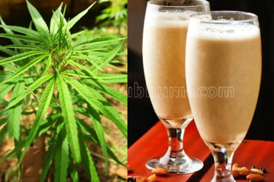 Cannabis seeds in juice: Excise to take action after confirming presence of psychoactive substance