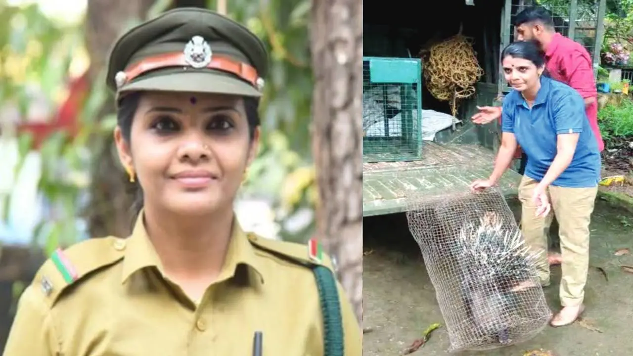 Roshni, Catching porcupine