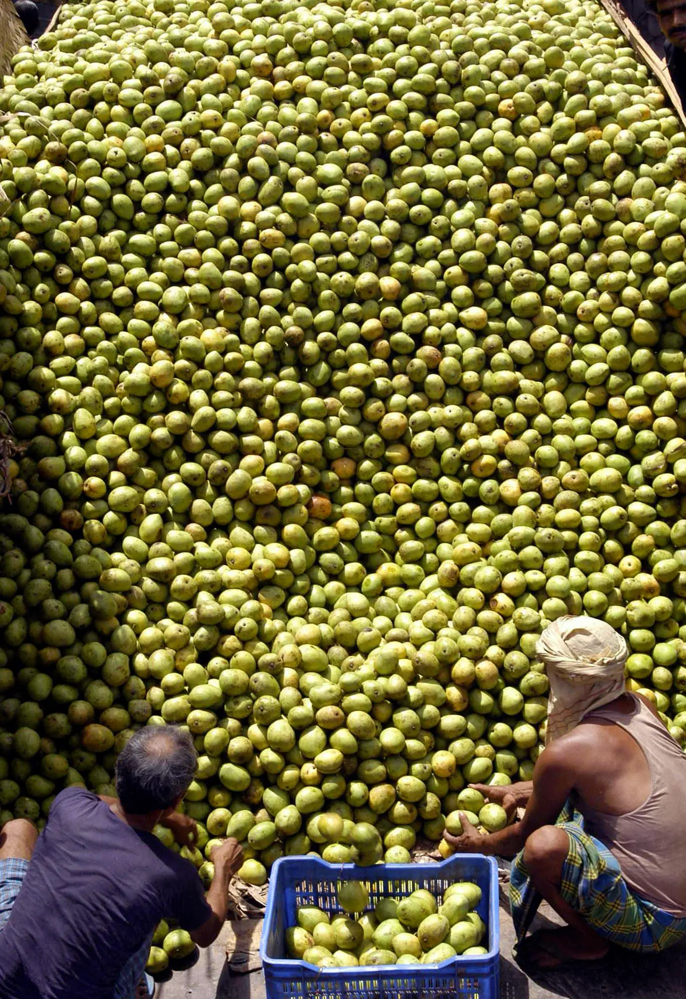 Representative Image / File Photo: Pankaj Nangia, AP