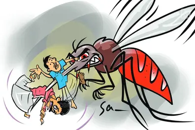 Mosquito-borne diseases on the rise in Kerala; death toll climbs to 18