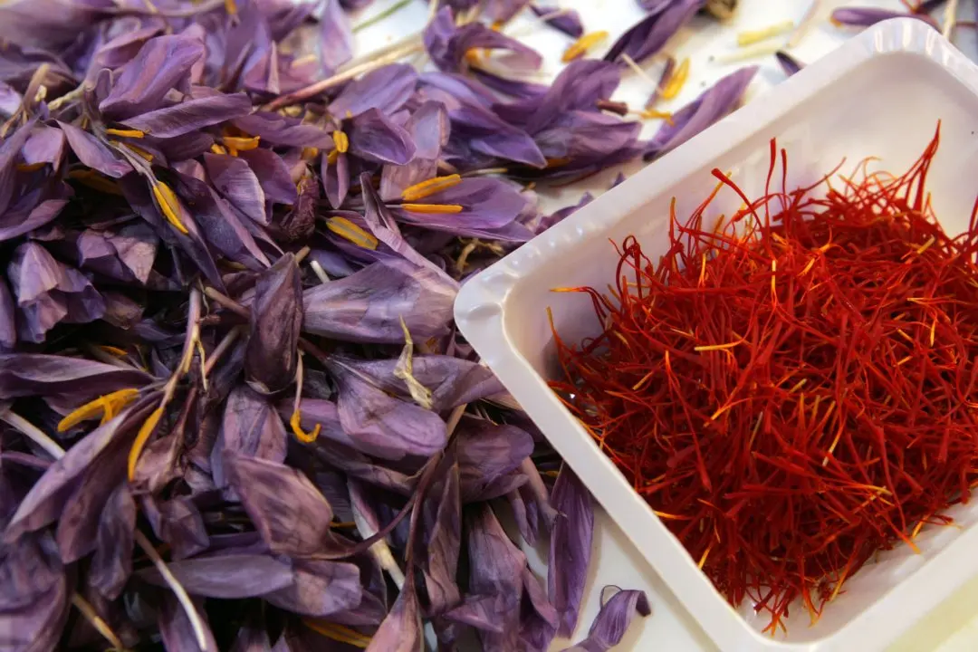 Saffron flowers. Photo: AFP