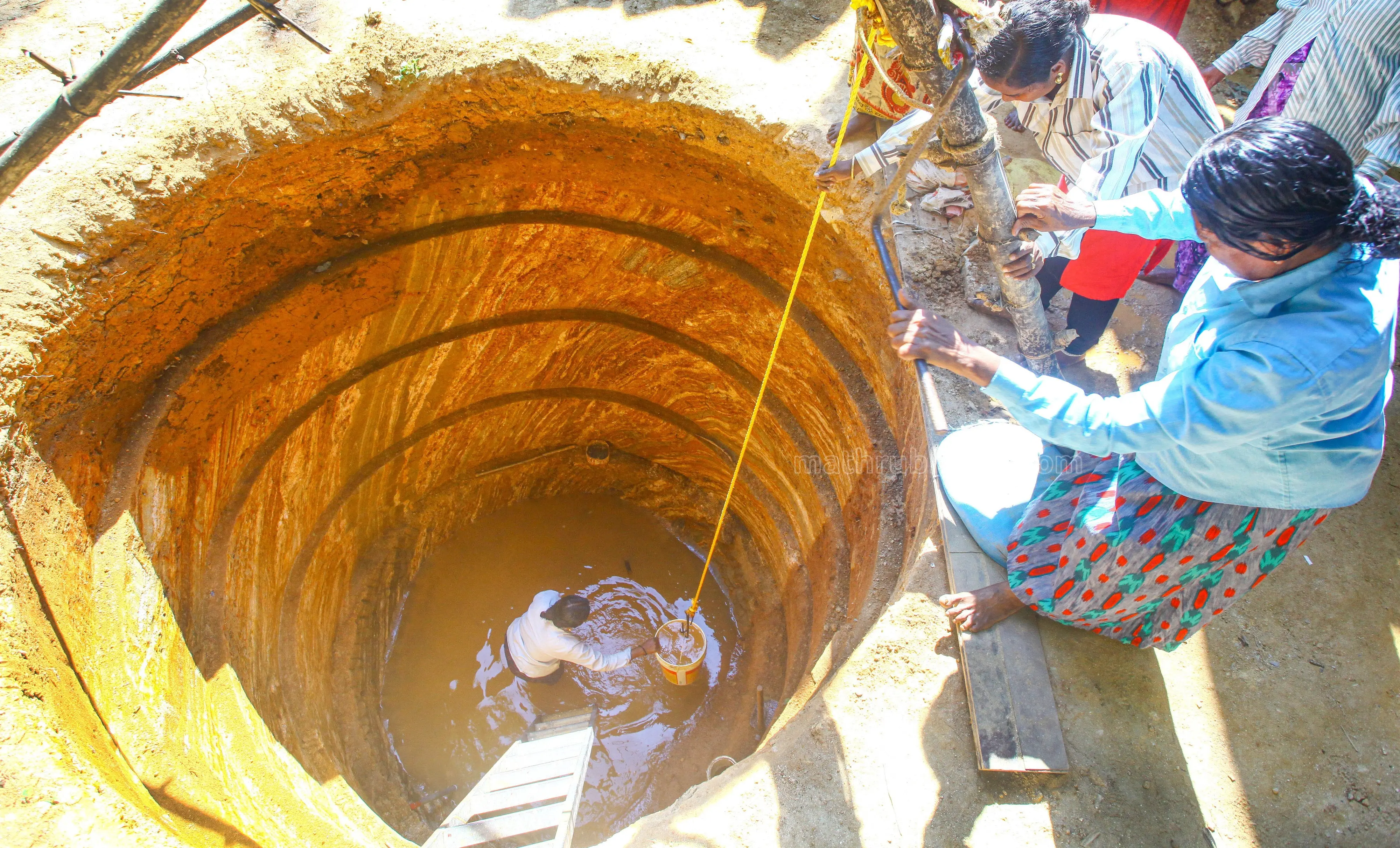 Representative image / Photo: Ratheesh PP, Mathrubhumi