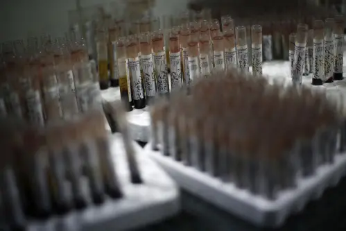 ICMR isolates monkeypox virus; may pave way for development of diagnostic kits, vaccines