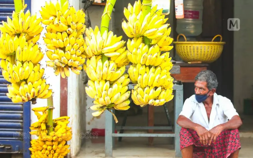 Representative Image | Photo: Mathrubhumi