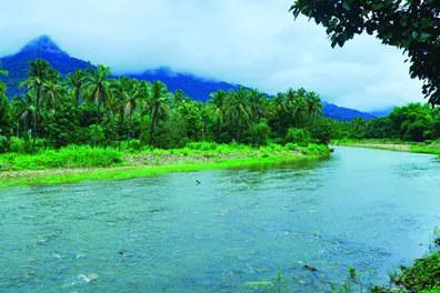Haritha Keralam Mission owns remarkable feat by reviving 45,736 km rivulets