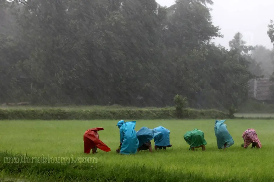 കാര്ഷിക സര്വകലാശാല: വിതയ്ക്കുന്നത് കേരളം കൊയ്യുന്നത് തമിഴ്നാട്