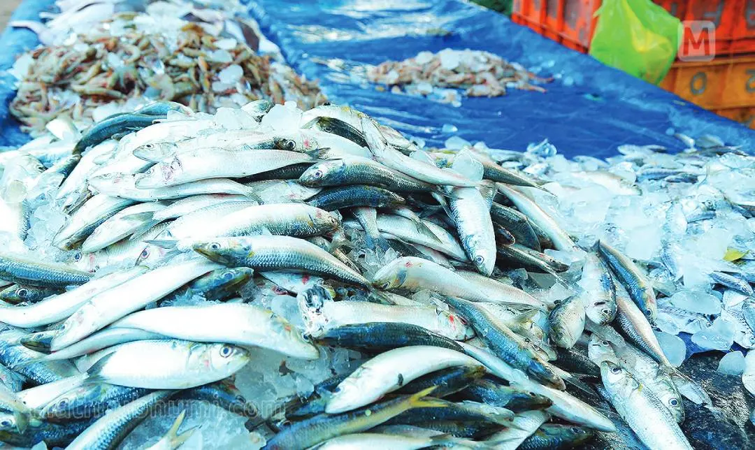 Representative image | Photo: Mathrubhumi