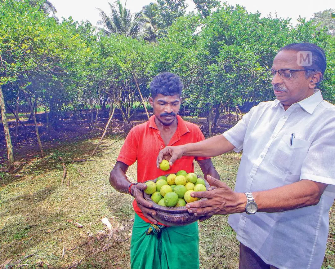 Dr George Varghese with the lemons from his farm | Photo: Mathrubhumi