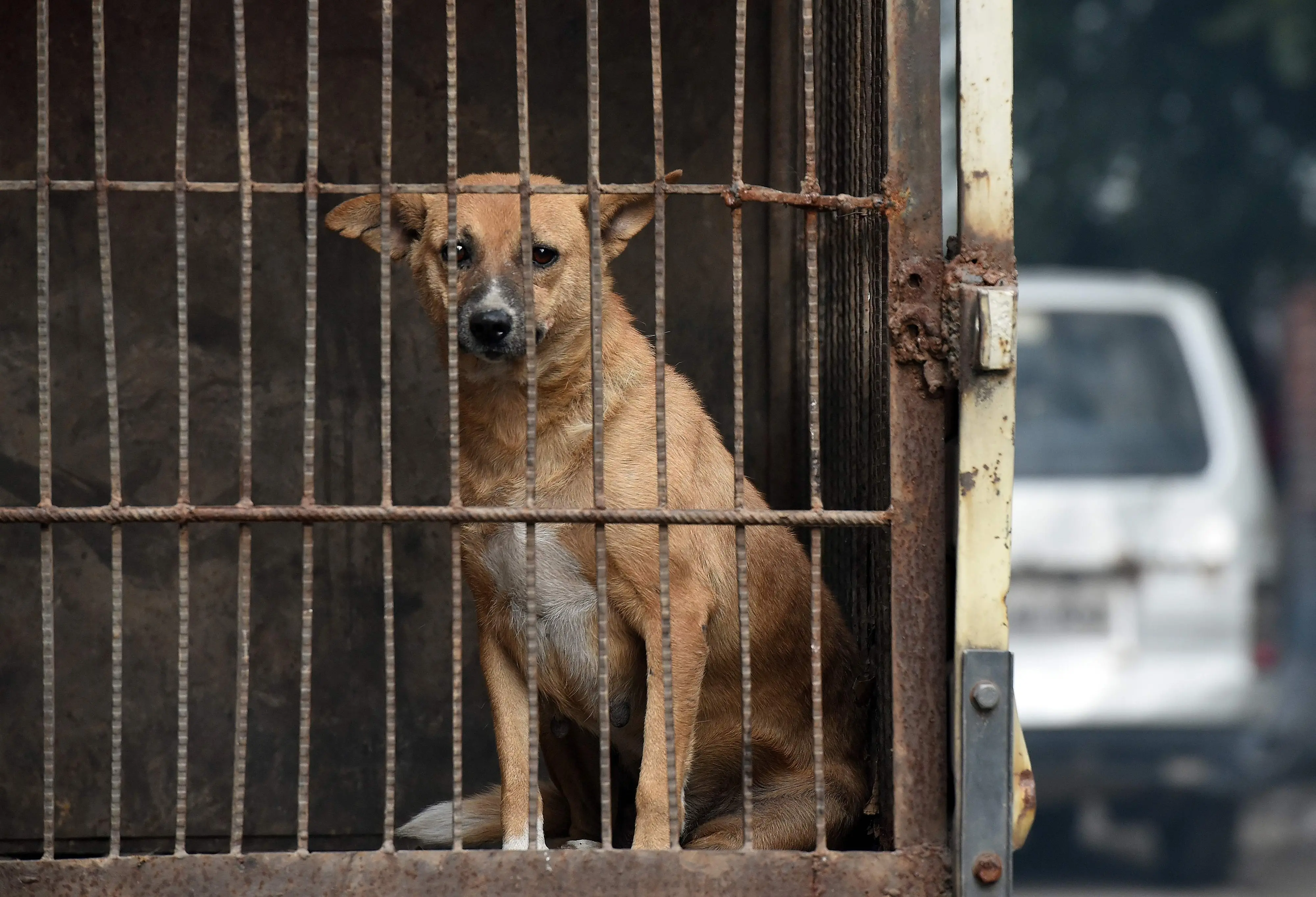 Representative image | Photo: AFP