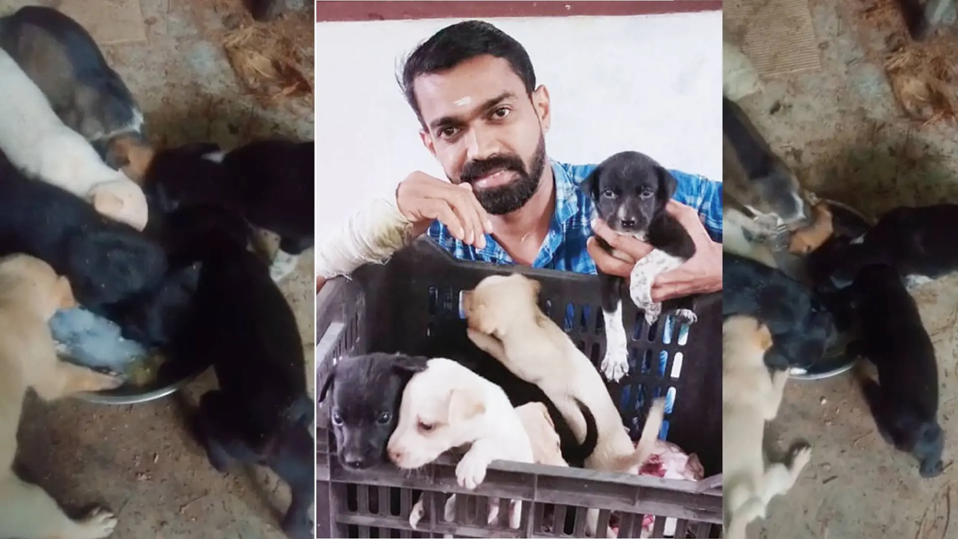 Hareesh with puppies