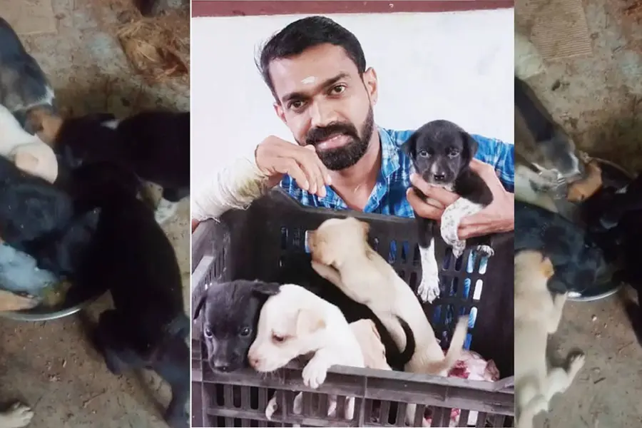 Kannur man turns saviour for seven puppies abandoned on roadside