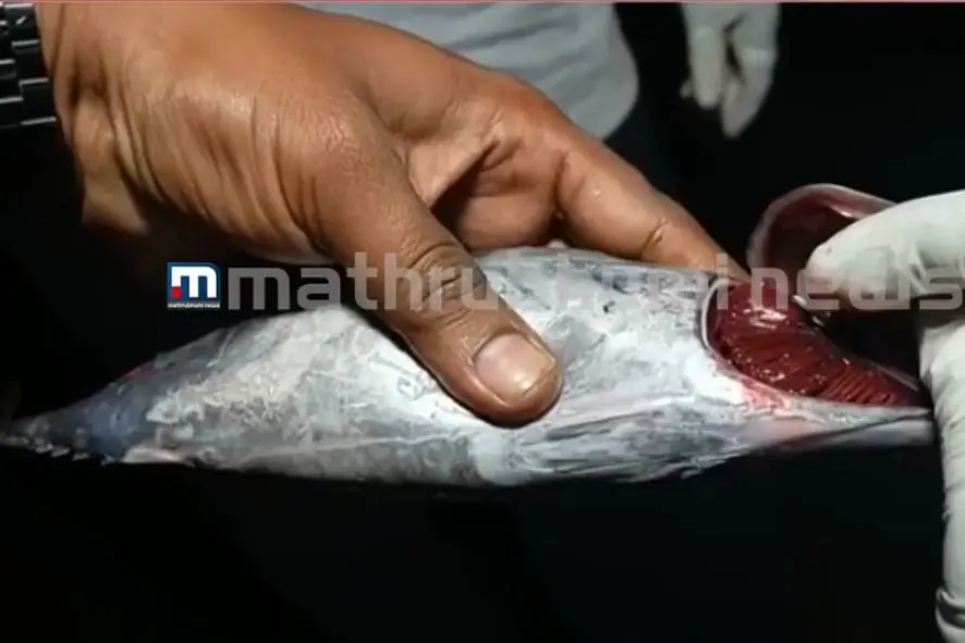10,750 kg of rotten fish seized at Aryankavu check post