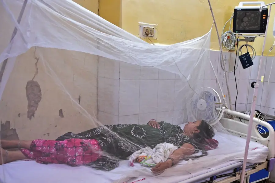 Dengue Fever: Don’t avoid symptoms, exercise extreme caution