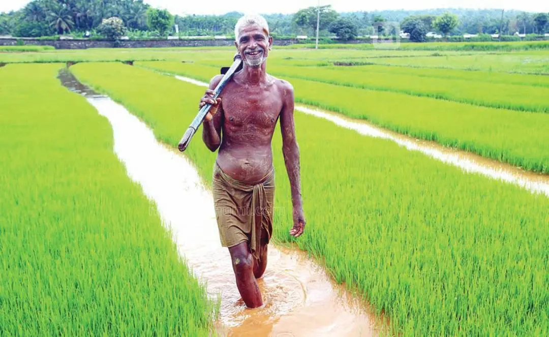 Representative Image | Photo: Mathrubhumi