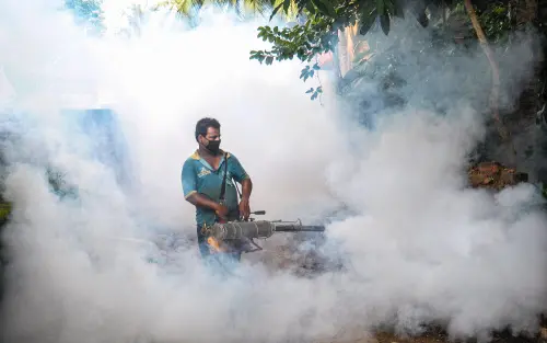 A man sprays anti-mosquito chemicals | PTI file photo