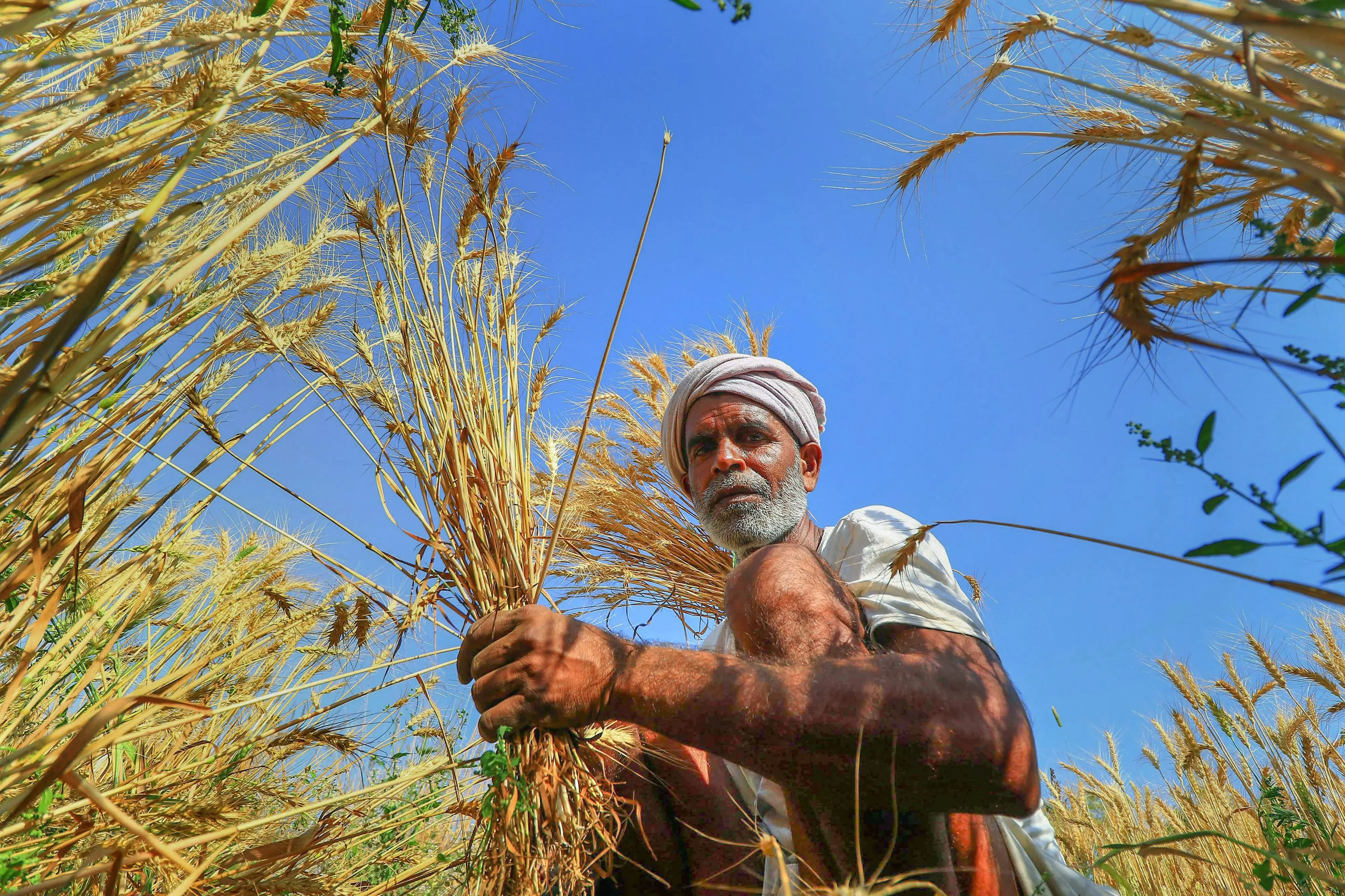 Representative image | Photo: PTI