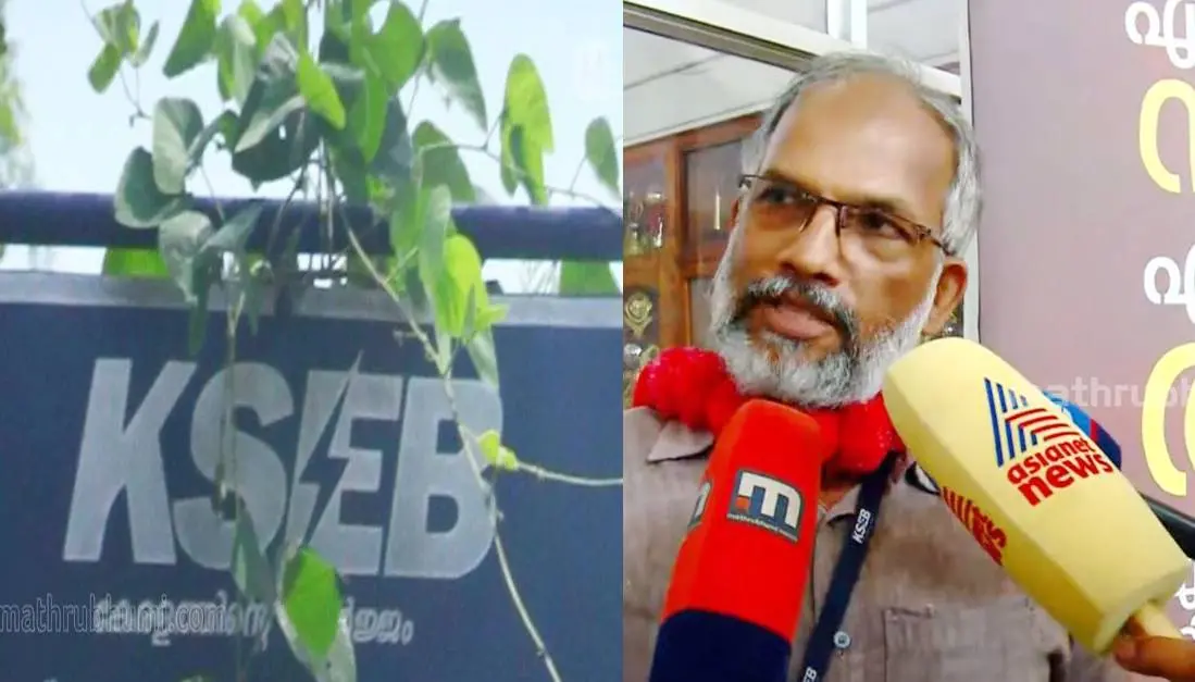 Representative Image of KSEB - MG Suresh Kumar