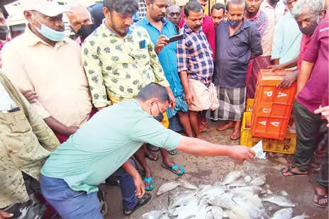 90 kg of stale fish seized from Alappuzha