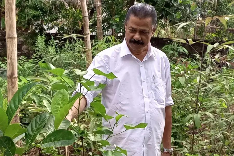 Minister Govindan’s residence under Miyawaki method; 300 trees on 3.5 cents