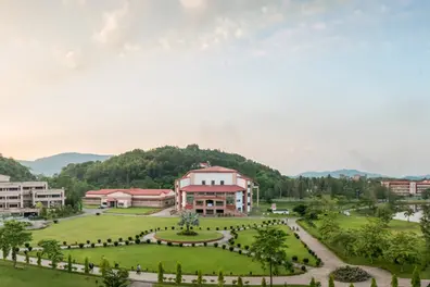 IIT-Guwahati develops cost-effective method to remove pollutants from industrial wastewater