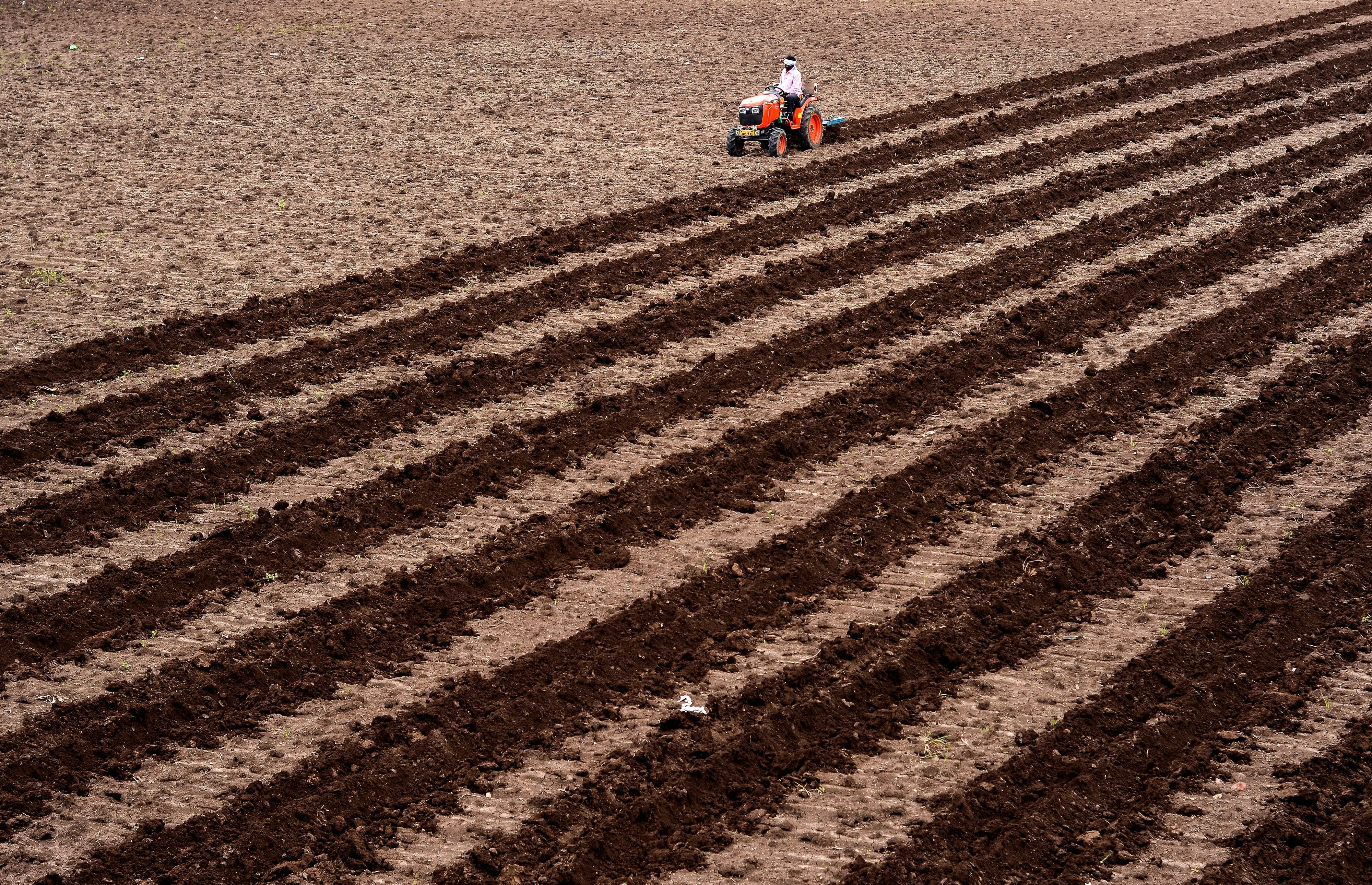 Representative Image / Photo: PTI