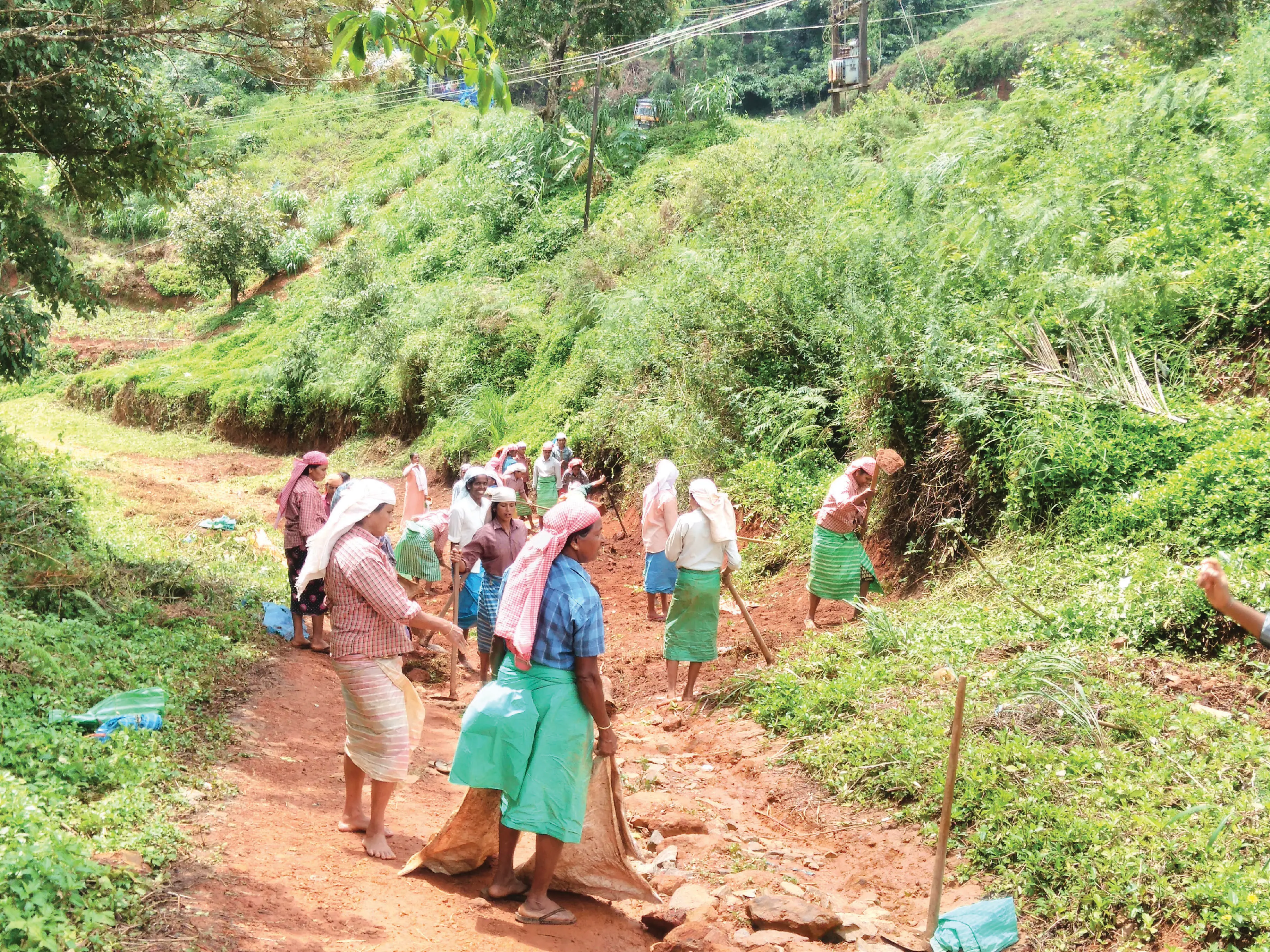 Employment guarantee programme | Photo: Mathrubhumi