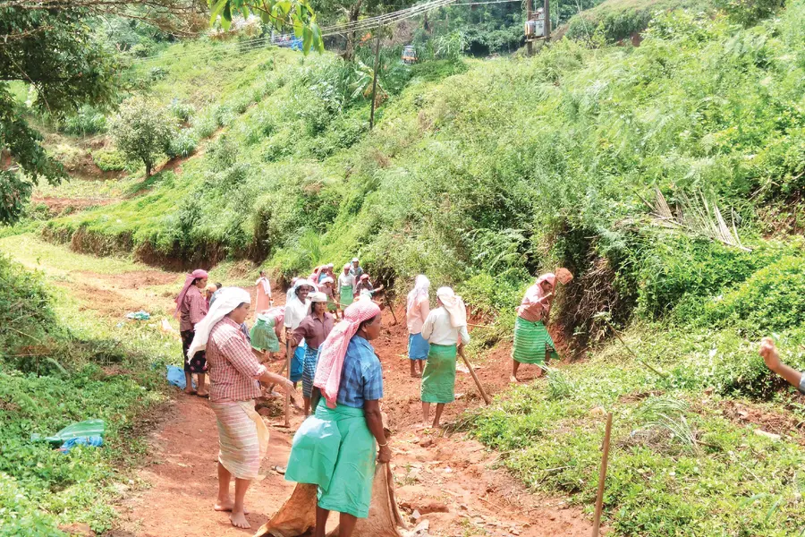 Kozhikode sets record in rural employment programme for last financial year