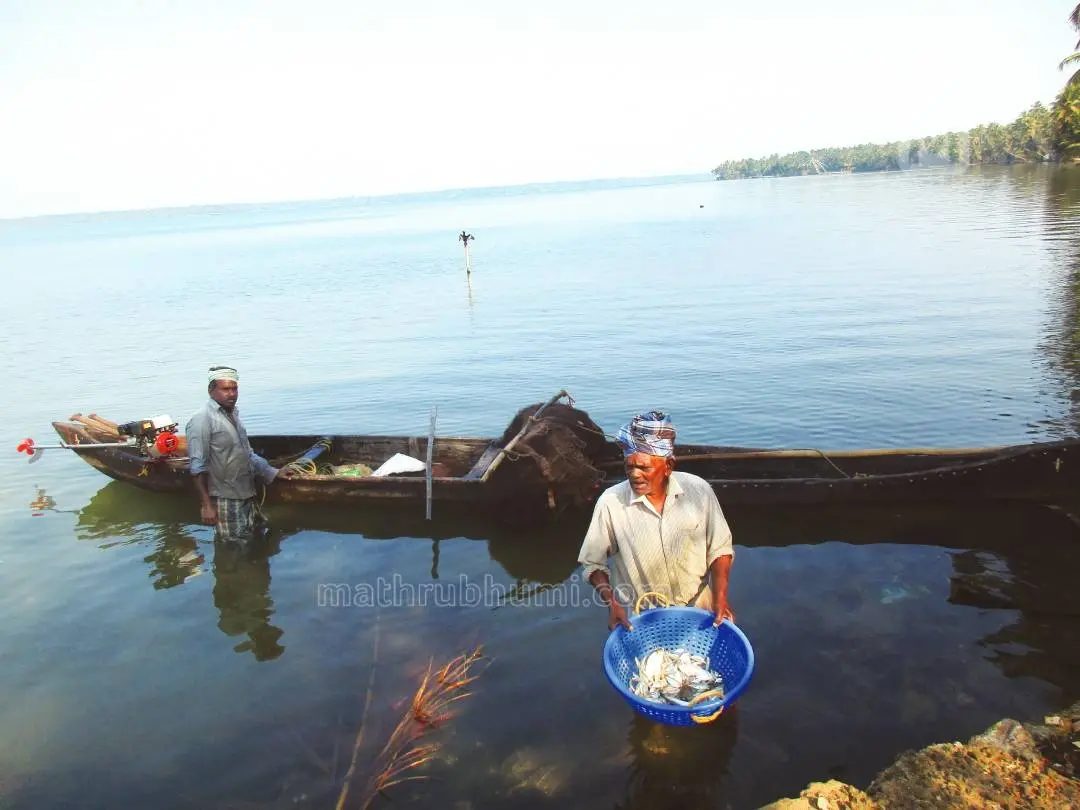 Ashtamudi lake I Photo: Mathrubhumi