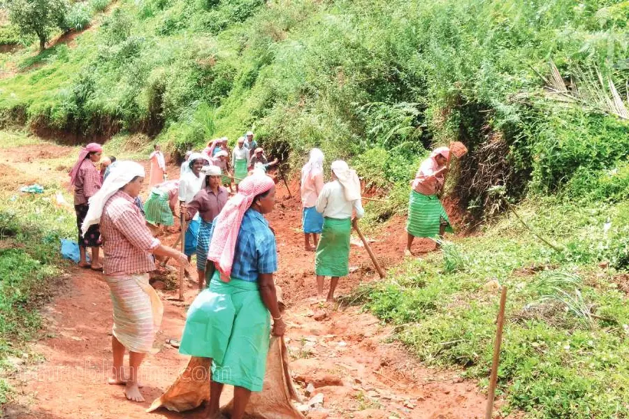 NREGS wages revised to Rs 311 in Kerala