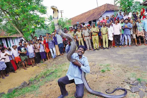 Vava Suresh | Photo: Mathrubhumi archives