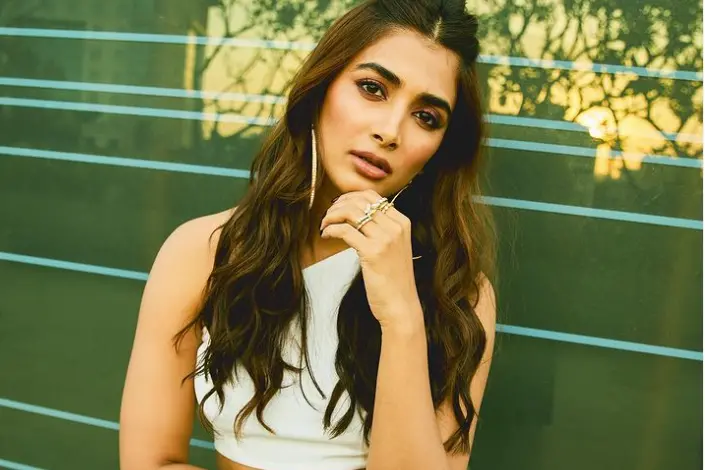 Pooja Hegde says acquiring a pan-India fan base was a coincidence