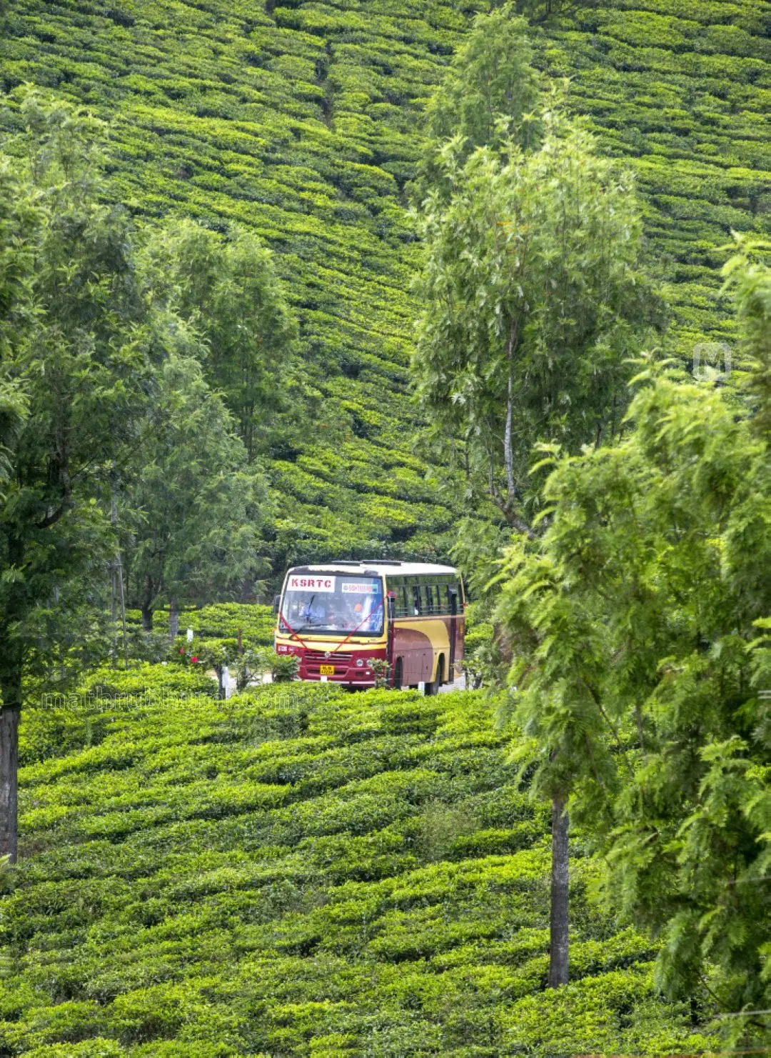 Representative Image: Mathrubhumi