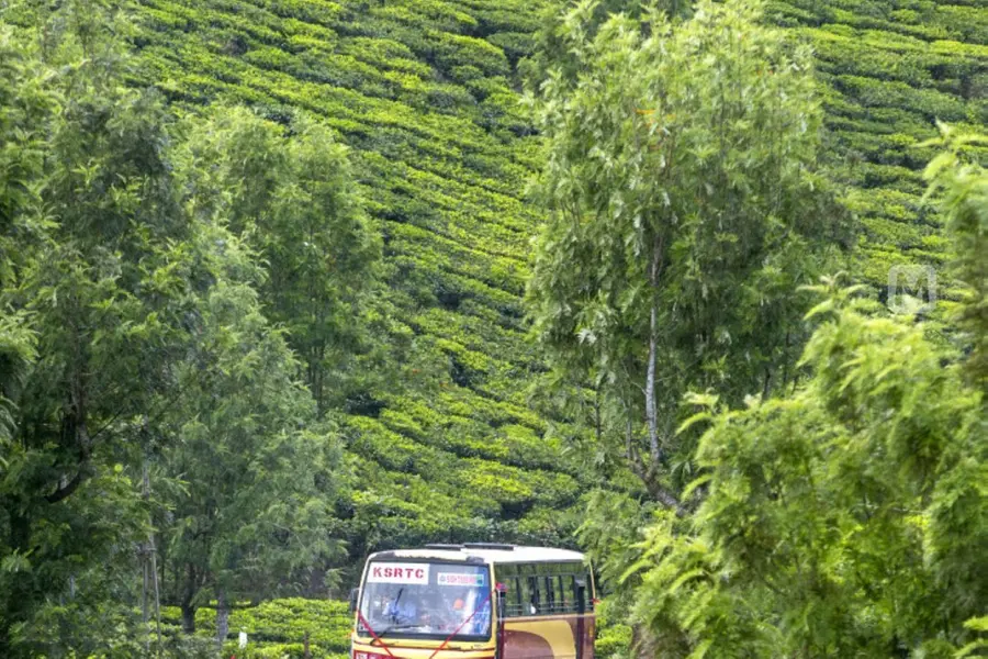 KSRTC plans tour packages to celebrate Women's Day in Kerala