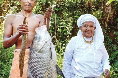 Fish weighing 12 kg auctioned for Rs 15000; amount donated to medical aid fund