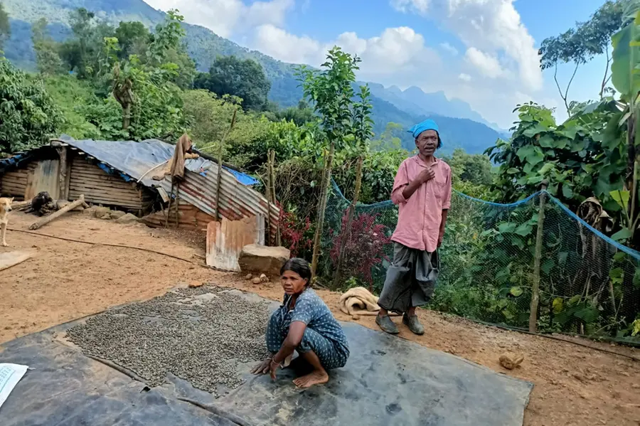 Stripped of land, tribes in Attappady fight mafia and corrupt officials