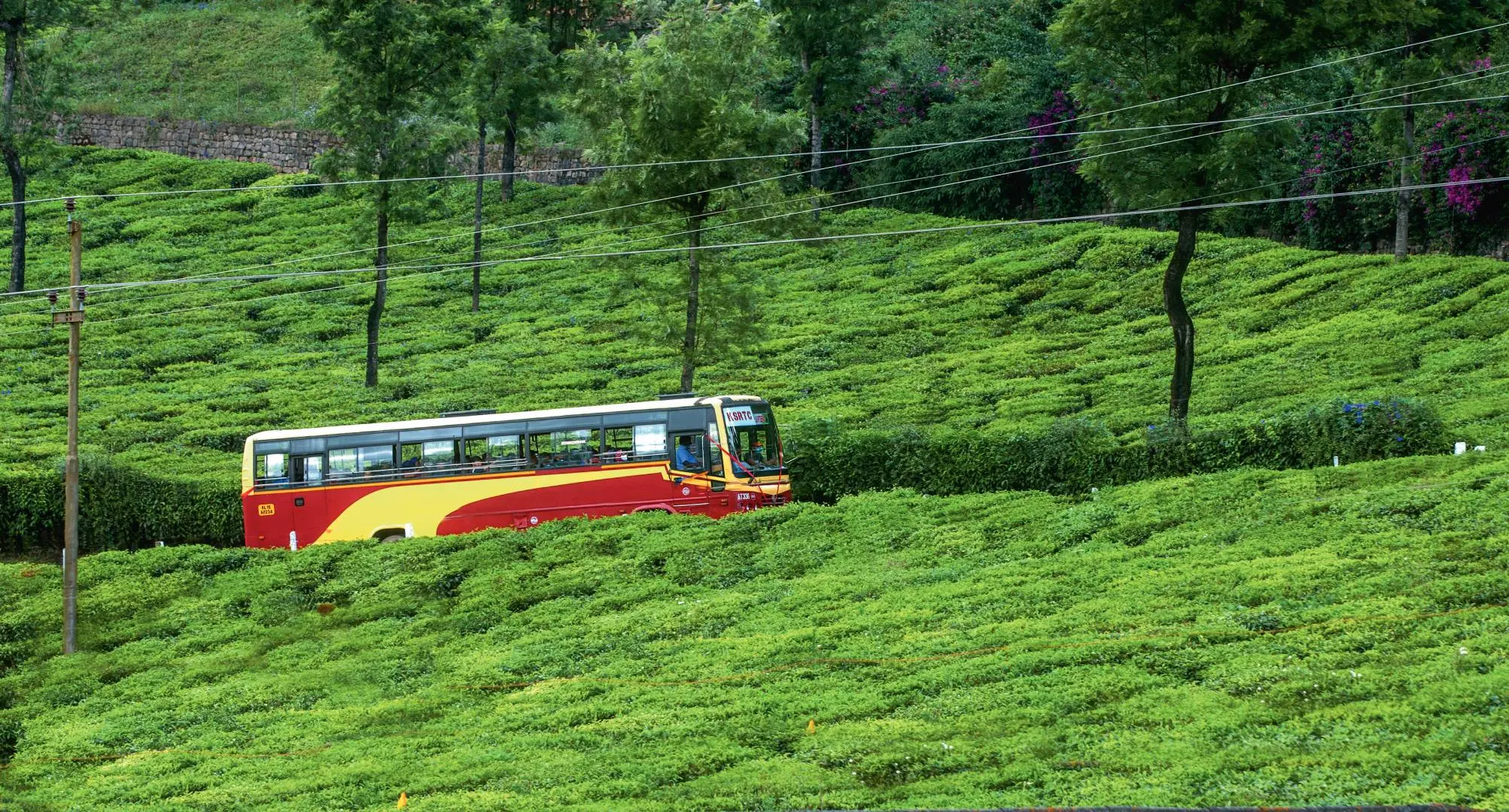 File Photo: Mathrubhumi