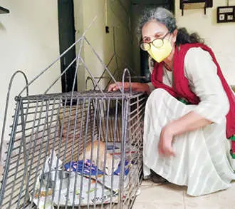 Daisy Joseph with pet cat Kunjukuttan