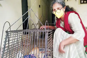 Woman rewards Rs 5000 to person who brought back missing cat ‘Kunjukuttan’