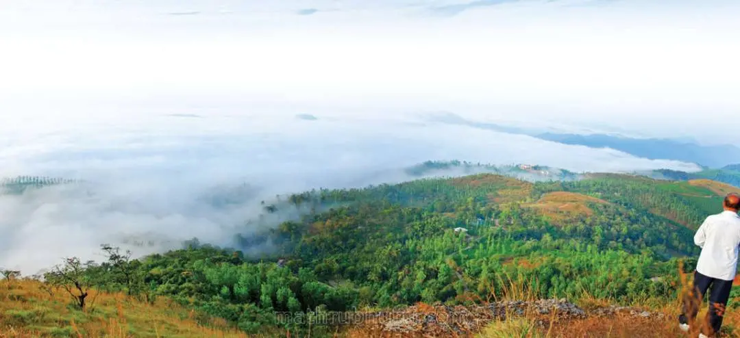 Muneeswaran Kunnu | Photo: Mathrubhumi