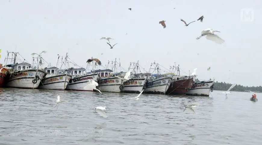 Representational image | Photo: Mathrubhumi
