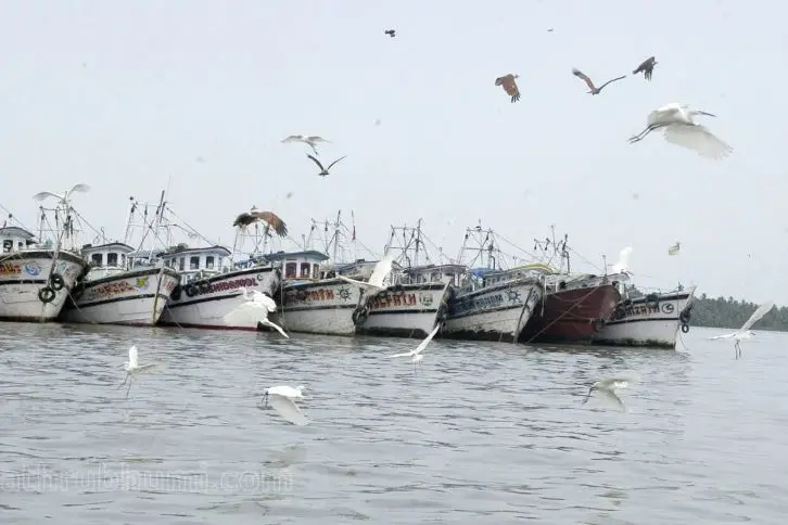 Info on EMCC was handed over to Kerala, says Centre