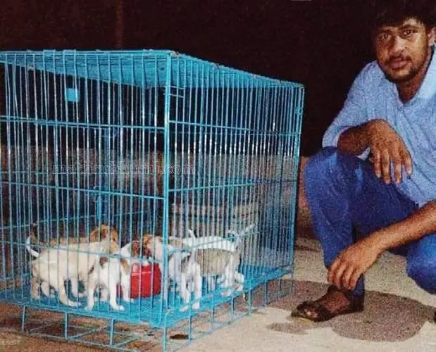 Sanoop and puppies