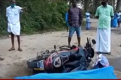 Wild elephant attacks couple in Idukki: Woman dies, husband sustains injuries