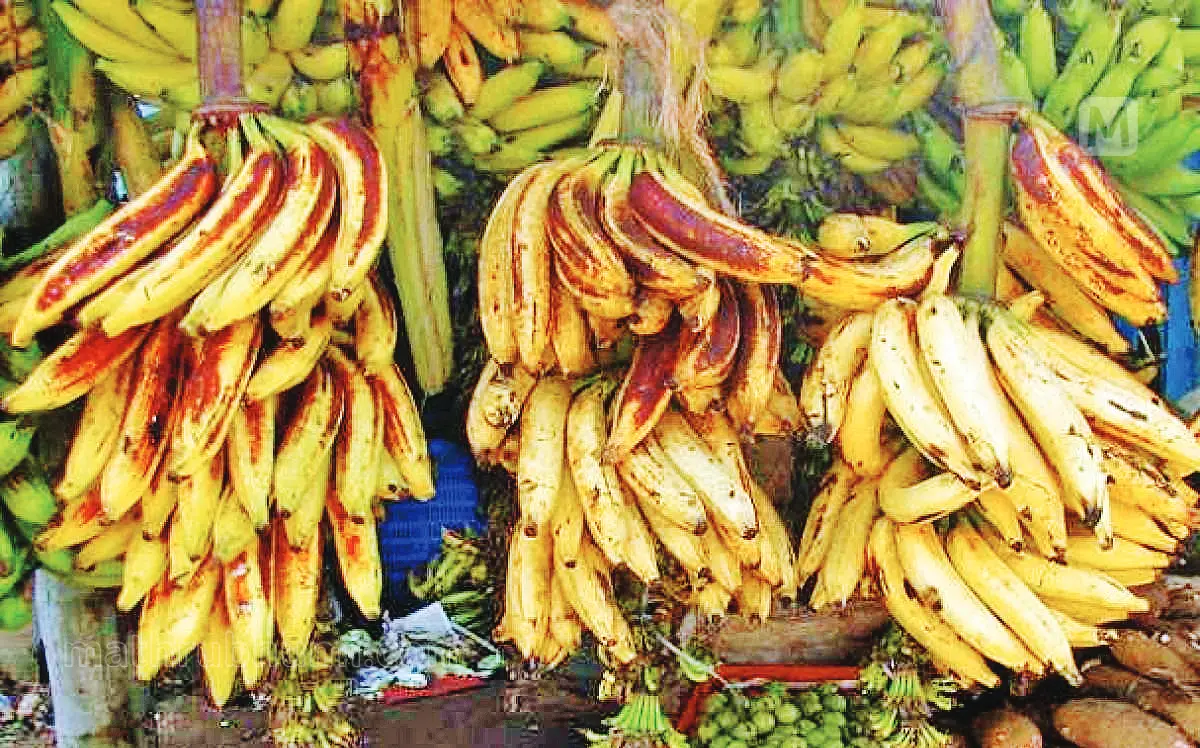Chengalikodan banana