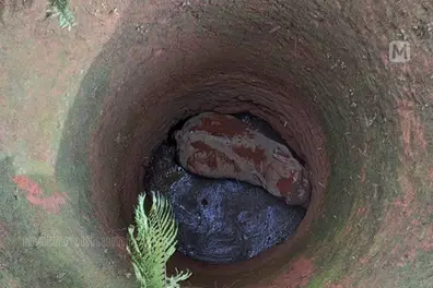 Wild elephant rescued from well in Anakkampoyil dies